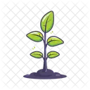 Business Graph Chart Icon