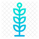 Plant Sucess Nature Icon