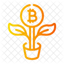 Growth  Icon