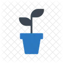 Growth  Icon