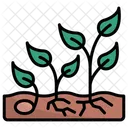 Growth  Icon