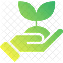Growth  Icon