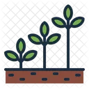 Growth Plant Tree Icon