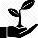 Growth  Icon