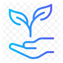 Growth Business And Finance Investment Icon