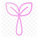 Growth  Icon