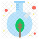 Growth Leaf  Icon