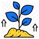 Growth Plant  Icon
