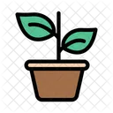 Growth Plant  Icon