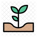 Growth Plant  Icon