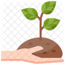 Growth Plant Growth Plant Icon