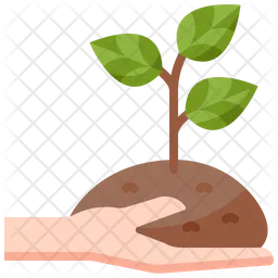 Growth Plant  Icon