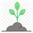 Growth Plant Sprout Nature Icon