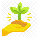 Growth Plant  Icon