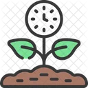 Growth Time  Icon