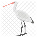 Uccello Gru Fenicottero Gruidae Icon