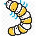 Grub Chafer Bettle Icon