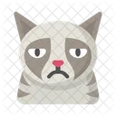 Grumpycat Icon