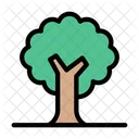 Baum Natur Grun Symbol