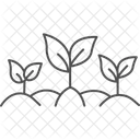 Grun Blatter Feld Symbol