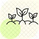 Grunes Blattfeld Symbol