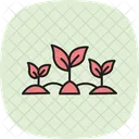 Grune Blatter Feld Grun Blatter Symbol