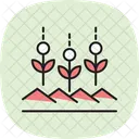 Grune Erntereihen Grun Ernte Symbol