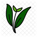 Grunes Blatt Natur Umwelt Symbol