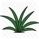 Grunlilie Chlorophytum Zimmerpflanze Icon