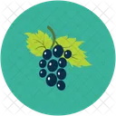 Racimo De Uvas Icono