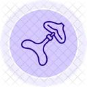 Gua sha  Icon