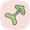 Gua Sha Guasha Gua Ícone