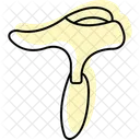 Gua Sha Guasha Gua Icon