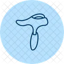 Gua Sha Guasha Gua Icon