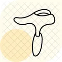 Gua Sha Guasha Gua Icon
