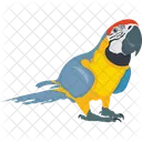 Criatura De Plumas Guacamayo Loro Icono