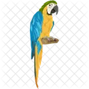 Guacamayo  Icono