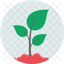 Guardar Planta Eco Ecologia Icon