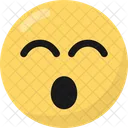 Emoticono Emoji Emojis Icono