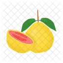 Food Guava Green Icon