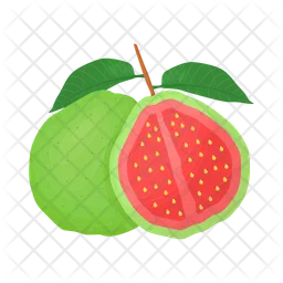 Guava  Icon