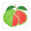 Food Guava Green Icon