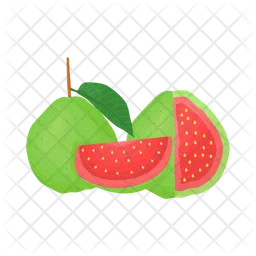 Guava  Icon