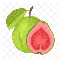 Guava  Icon