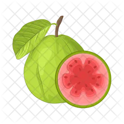 Guava  Icon