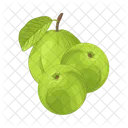 Guava Fruit Healthy Icon