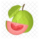 Guava Fruit Healthy Icon