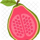 Vitamin Fruit Kiwi Icon