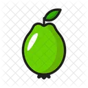 Fruit Nature Healthy Icon