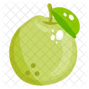 Guava Fruit Tropical Fruit Icon